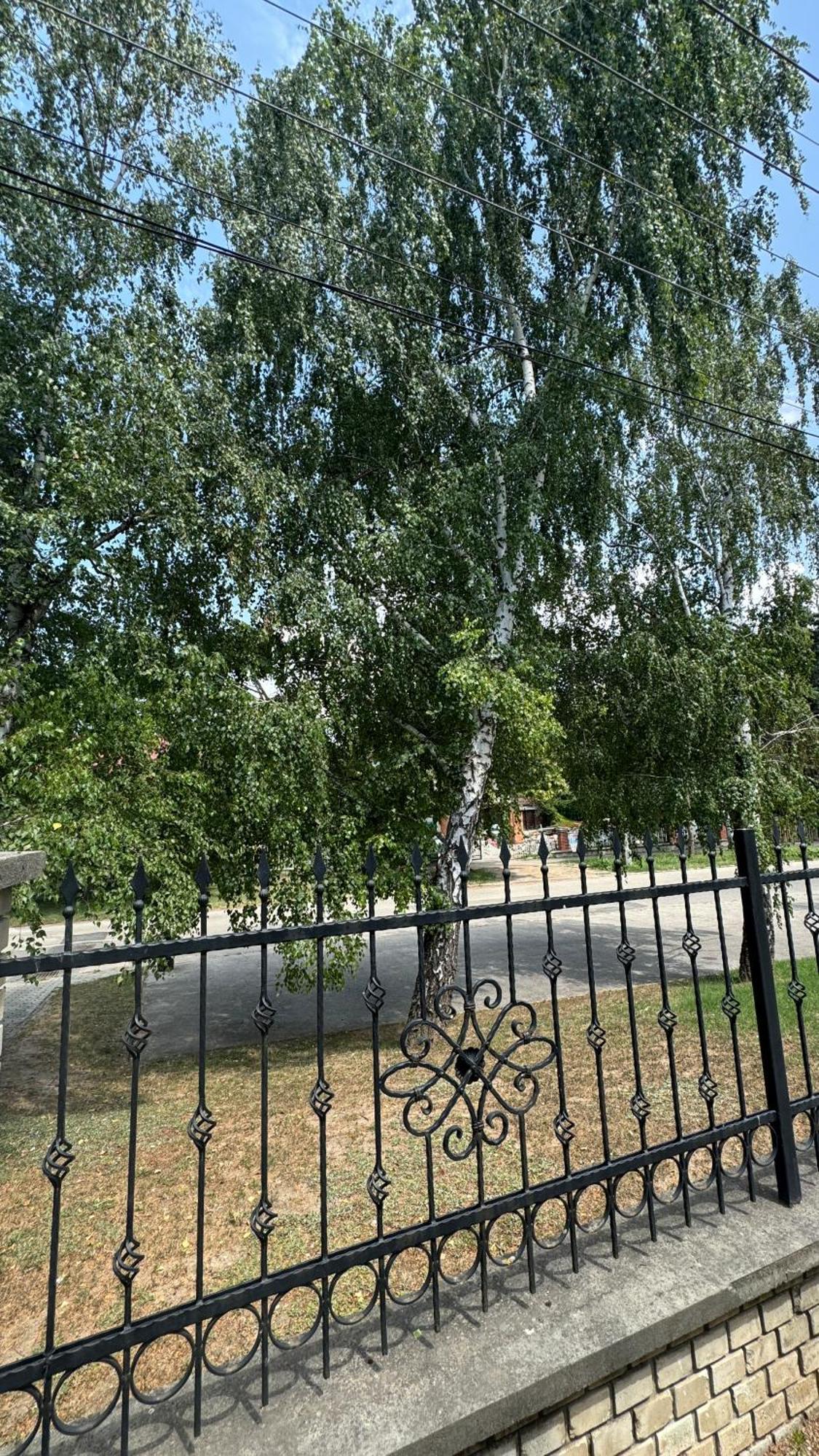 5 Haloszobas Wellness Vip House - Privat Medence 시오포크 외부 사진